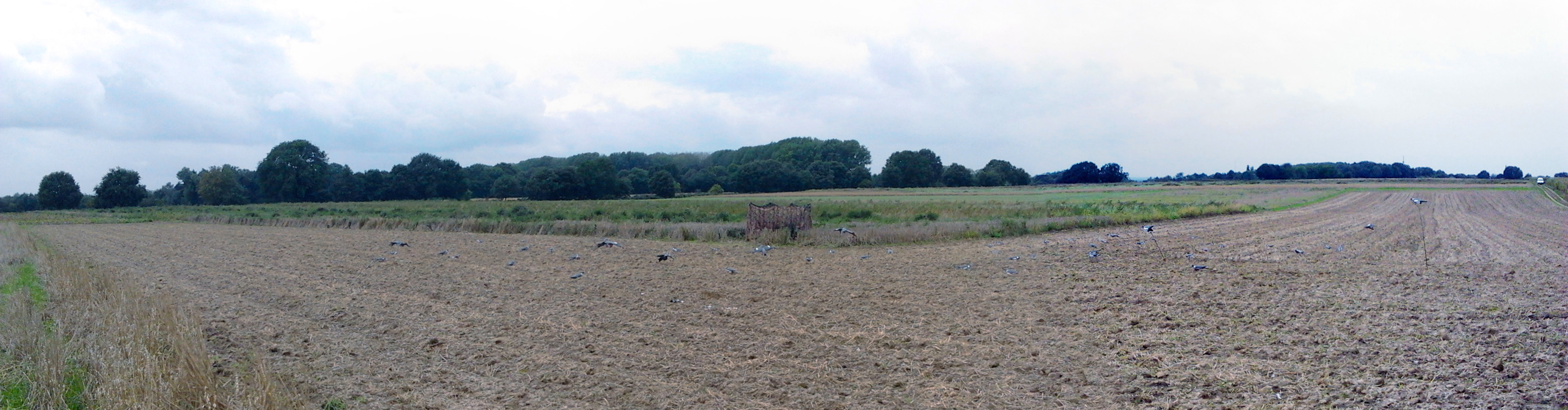 Panorama duivenjacht Kollenberg sept 2013