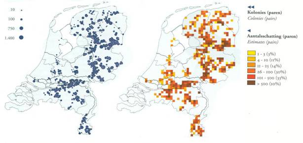 voorkomen roek in Nederland