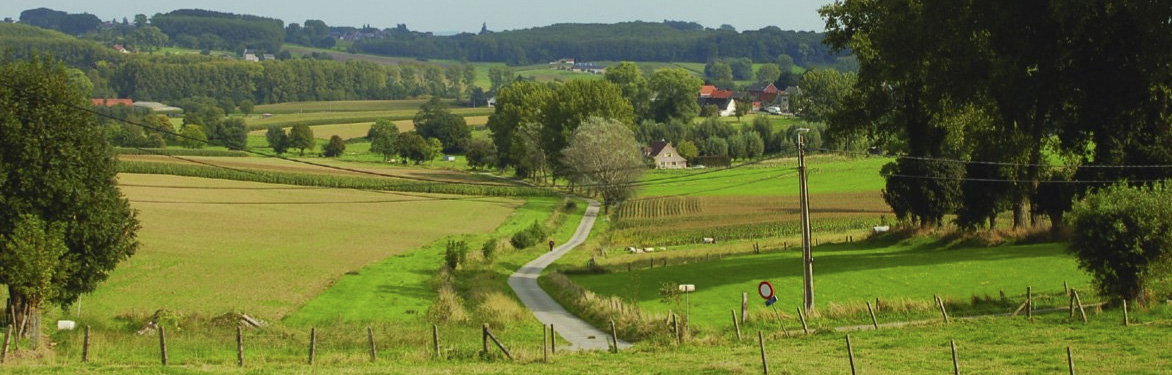 Landschap-Vlaanderen
